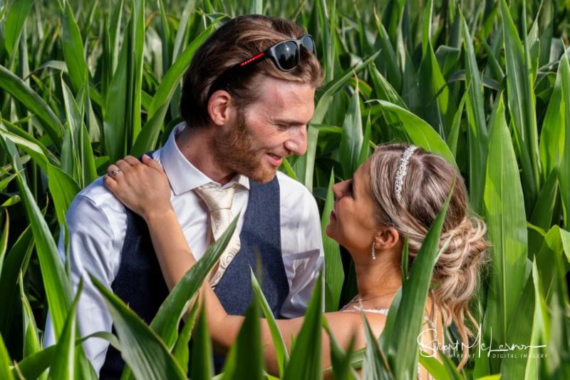 In amongst the corn crops