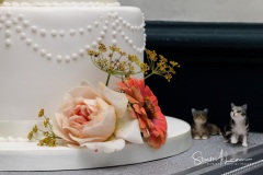 Wedding cake cats