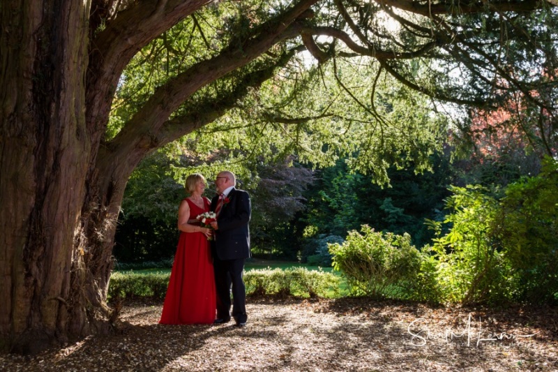 Under the tree