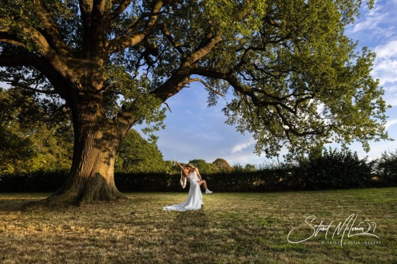 Under the tree