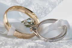 Wedding rings on a cushion Wedding rings on a cushion