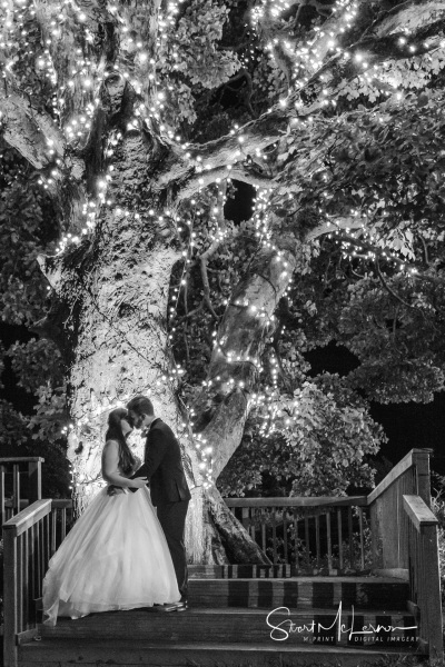 A kiss under a tree