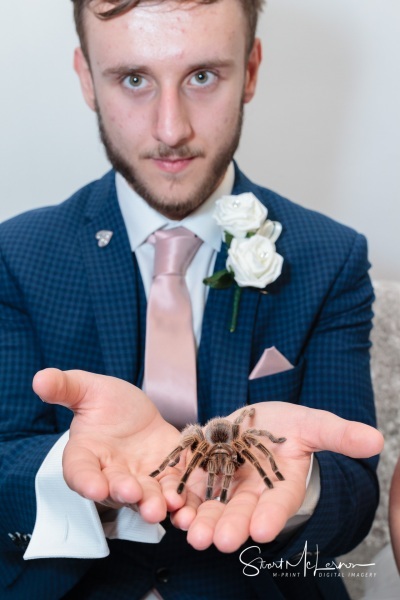 Groom with tarantula